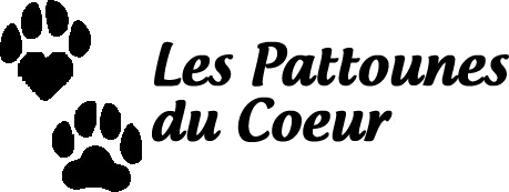 Les Pattounes Du Coeur Suisse